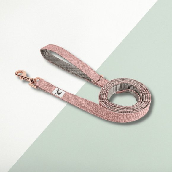 🐶 NEW 🐶 Taily Blush Pink Collar & City Lead Set (Size: Small) - Picture 3 of 5